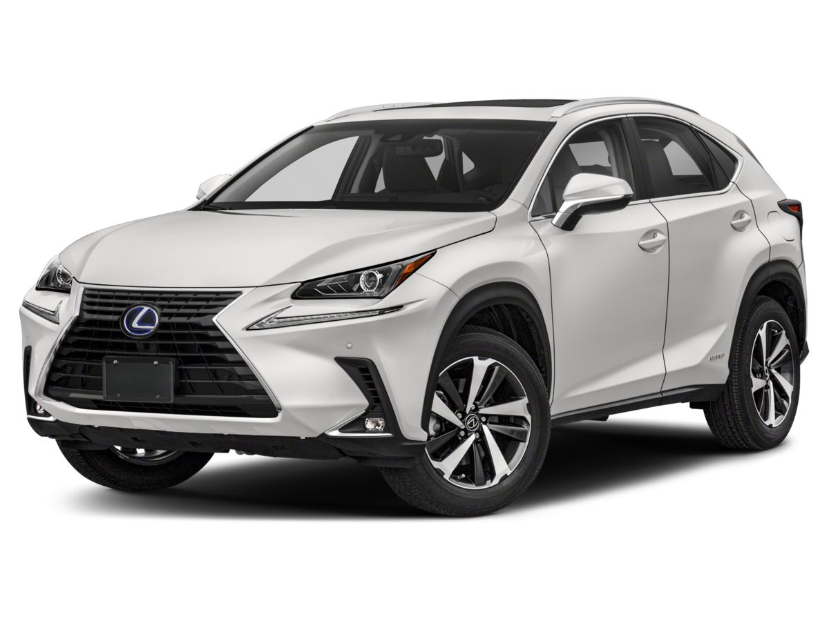 2019 Lexus NX  2