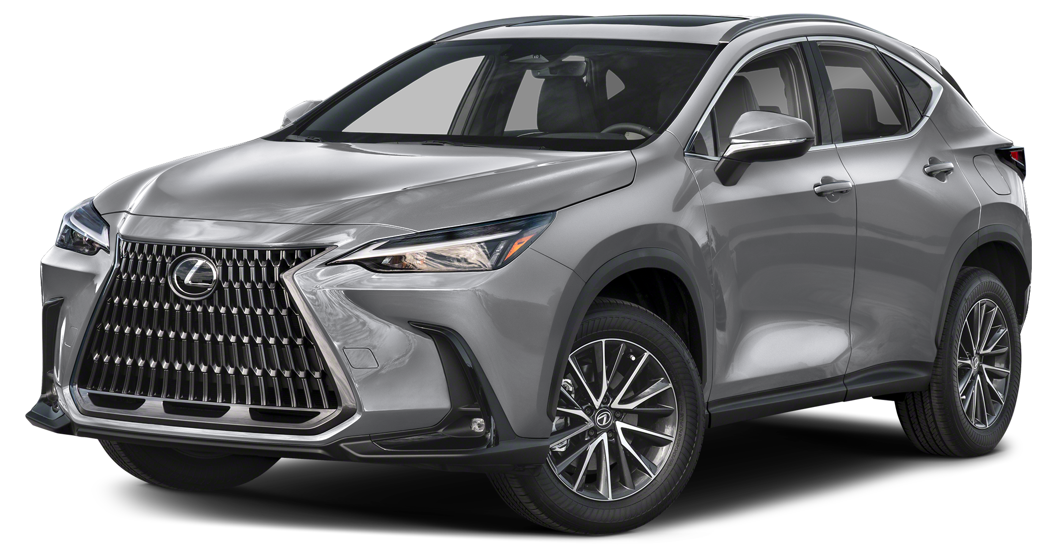2025 NX 250